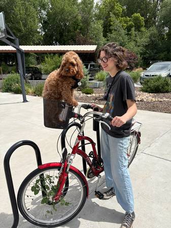 Lost Bike in Logan