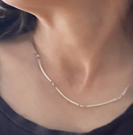 Lost necklace