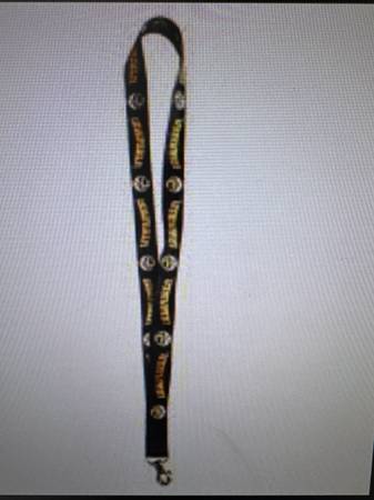 Lost Keys in Chelwood And Chico