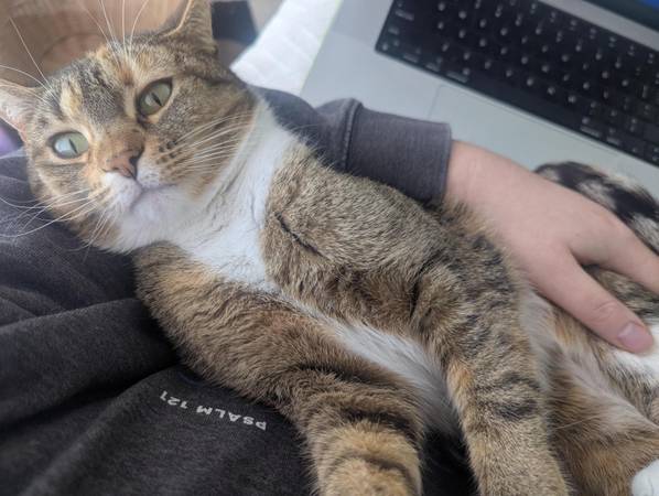 Matching item