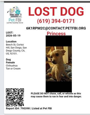 Lost dog