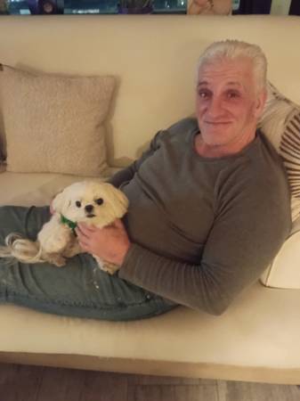 Lost Dog in Boston