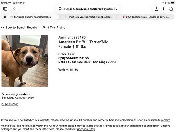 Found dog