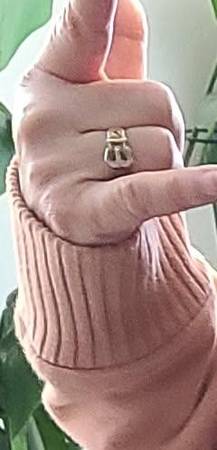 Lost Ring in Nampa