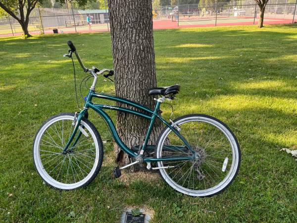 Found bike