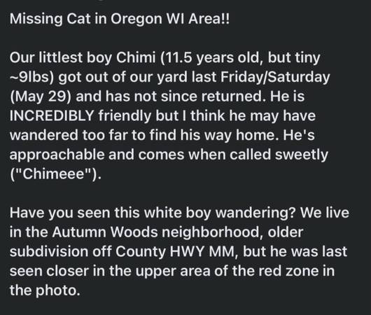 Lost cat