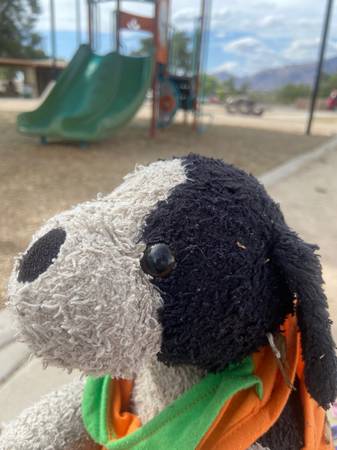 Found toy