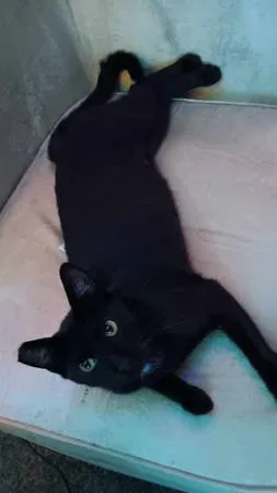 Matching item