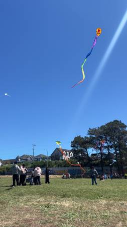 Lost Kite in Fortuna