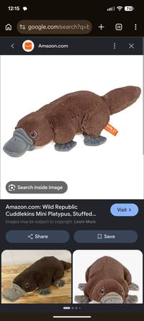 Matching item