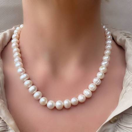 Lost Necklace in Raleigh