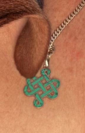 Lost necklace