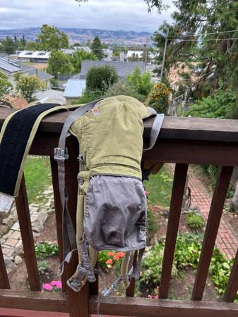 Found Baby Carrier in Petaluma