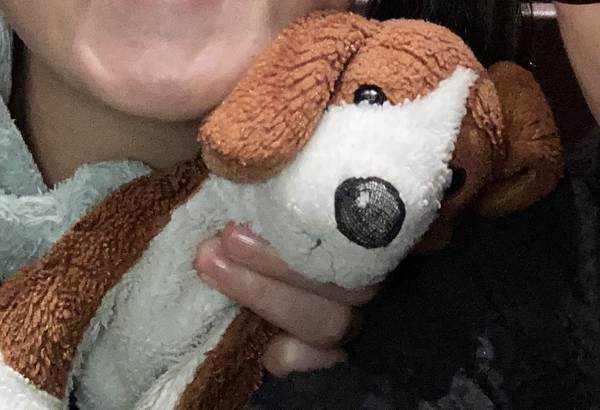 Lost Stuffed Animal in Fresno