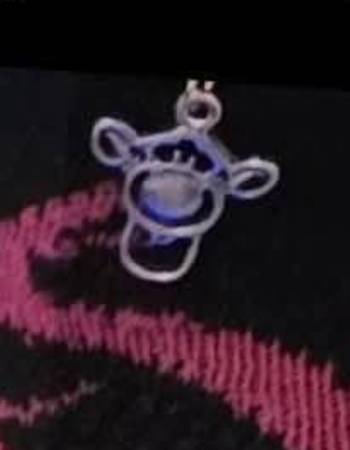 Lost Bracelet in Tallahassee