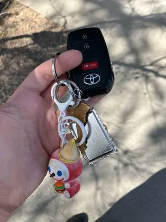 Found keys