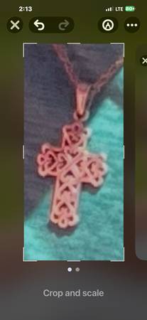 Lost Necklace in Lincoln