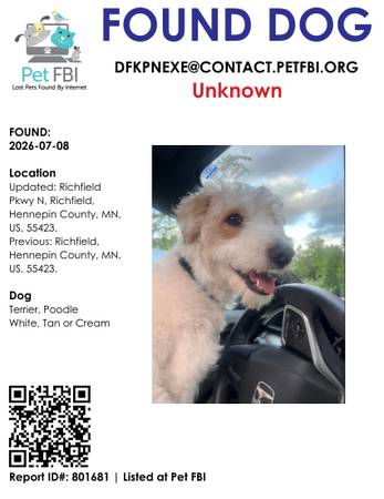 Found dog