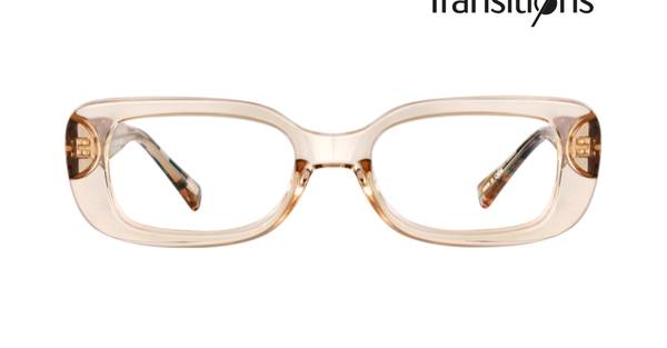 Lost Glasses in Boise