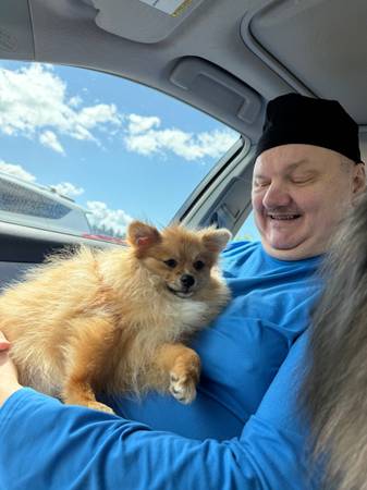 Lost Dog in Hermiston
