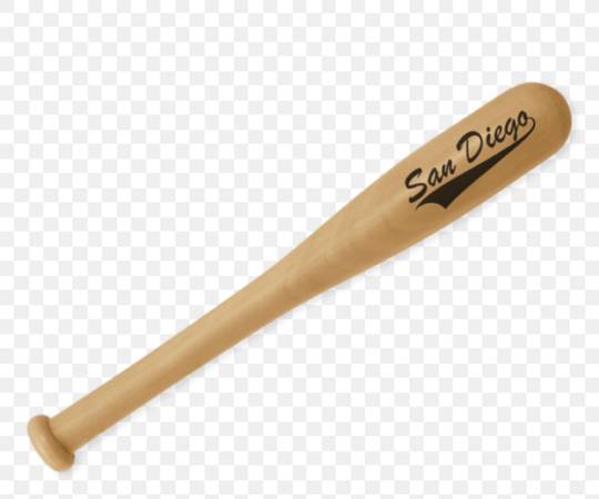Found Sports_equipment in Tampa