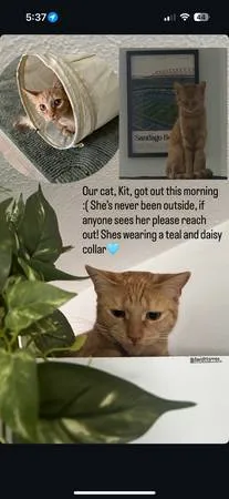 Matching item