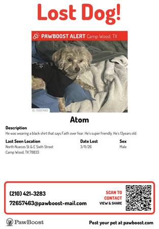 Lost Dog in Camp Wood