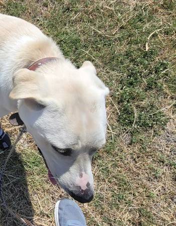 Matching item