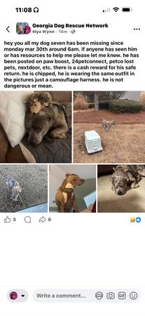 Lost Dog in Fairburn