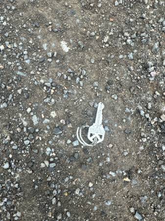 Found keys