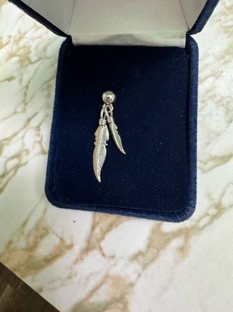 Lost Earring in Pasco