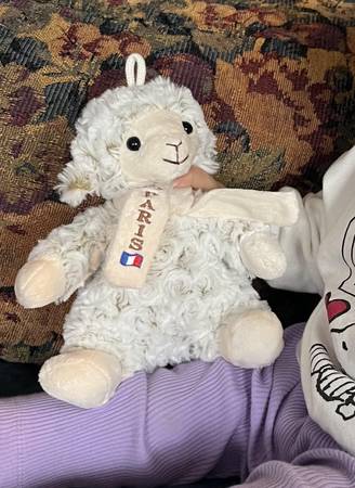 Lost stuffed toy