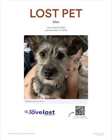 Lost Dog in Parmer And Samsung