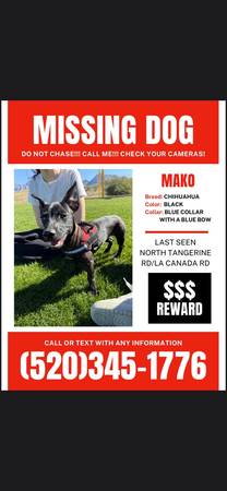 Lost Dog in Tangerine And La CañAda
