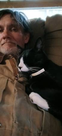 Lost cat