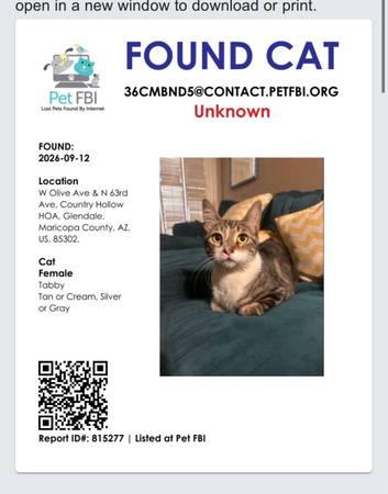 Found Cat in Glendale