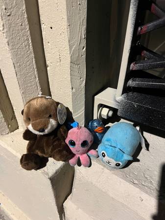 Found stuffed animal