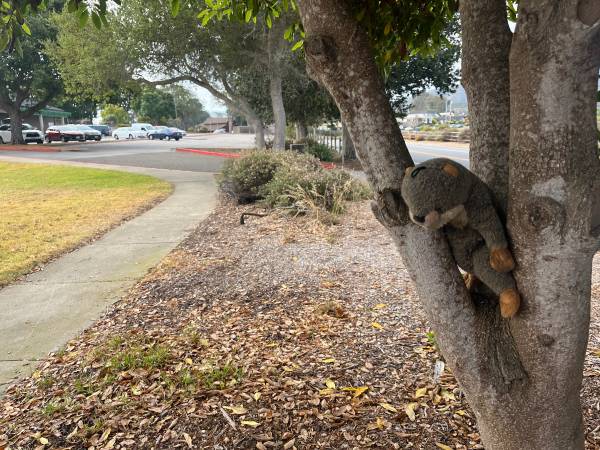 Found toy