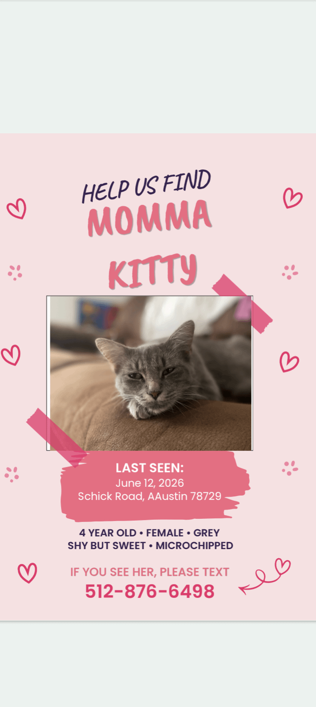 Lost cat