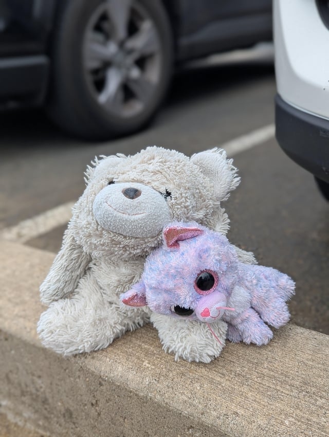 Lost toy