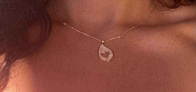 Lost necklace