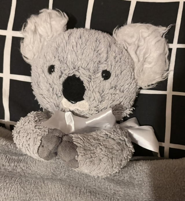Lost Toy in Leeds