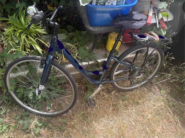 Found Bike in Sacramento