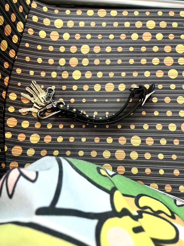 Found Keys in San Fernando Valley