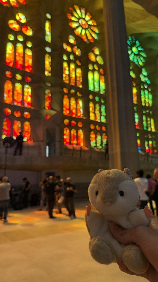 Lost plush toy