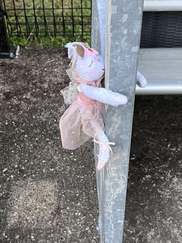 Found Toy in Brisbane