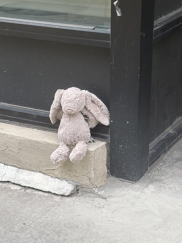 Found Stuffed Bunny in Manhattan