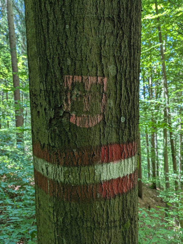 Found other