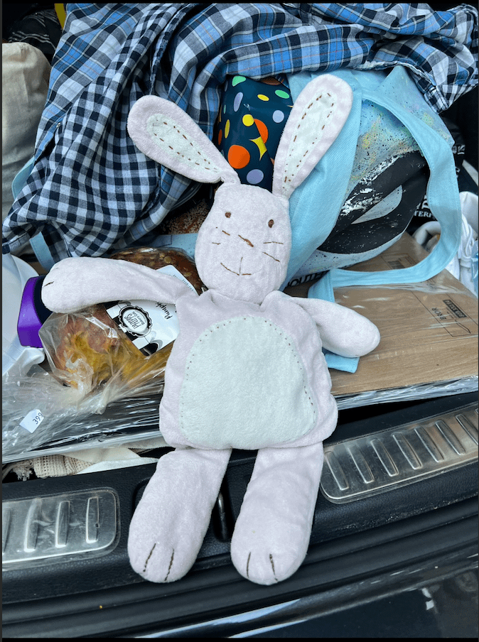Lost Toy in Griffintown