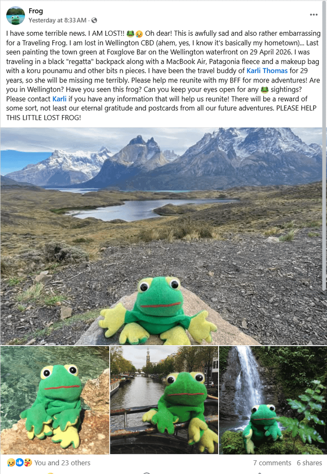 Lost plushie
